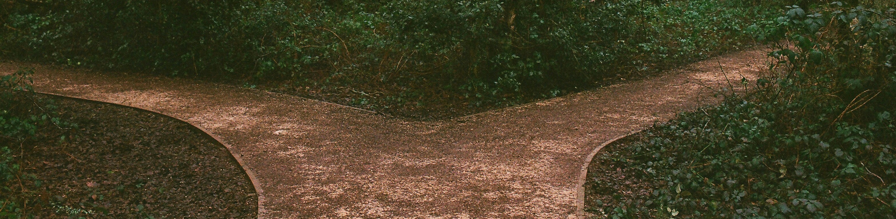 Fork in the road
